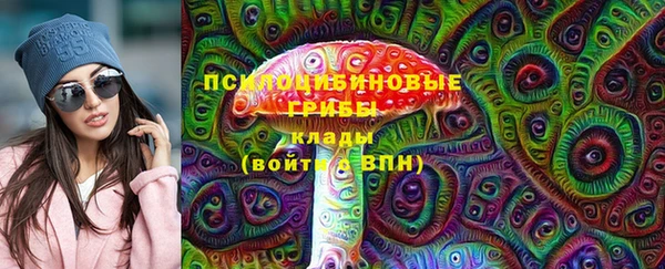 mdpv Богородск