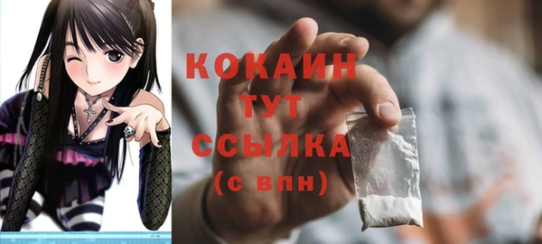 спайс Богородицк