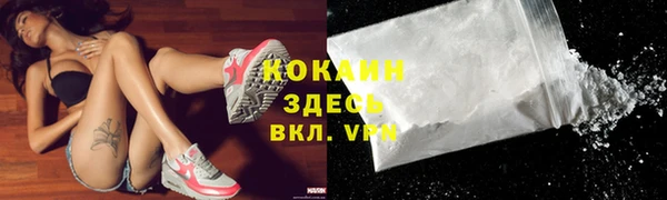 бошки Богданович
