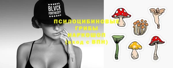 бошки Богданович