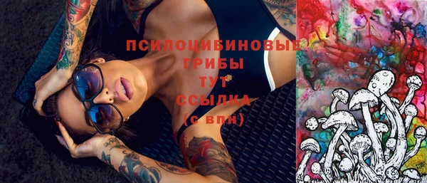 спайс Богородицк