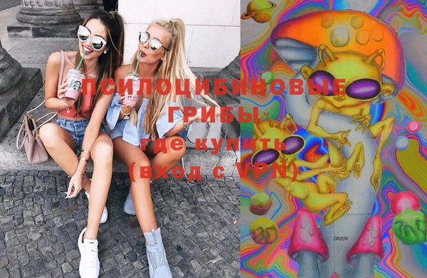 бошки Богданович